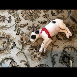 Meet your Posher, Tracy